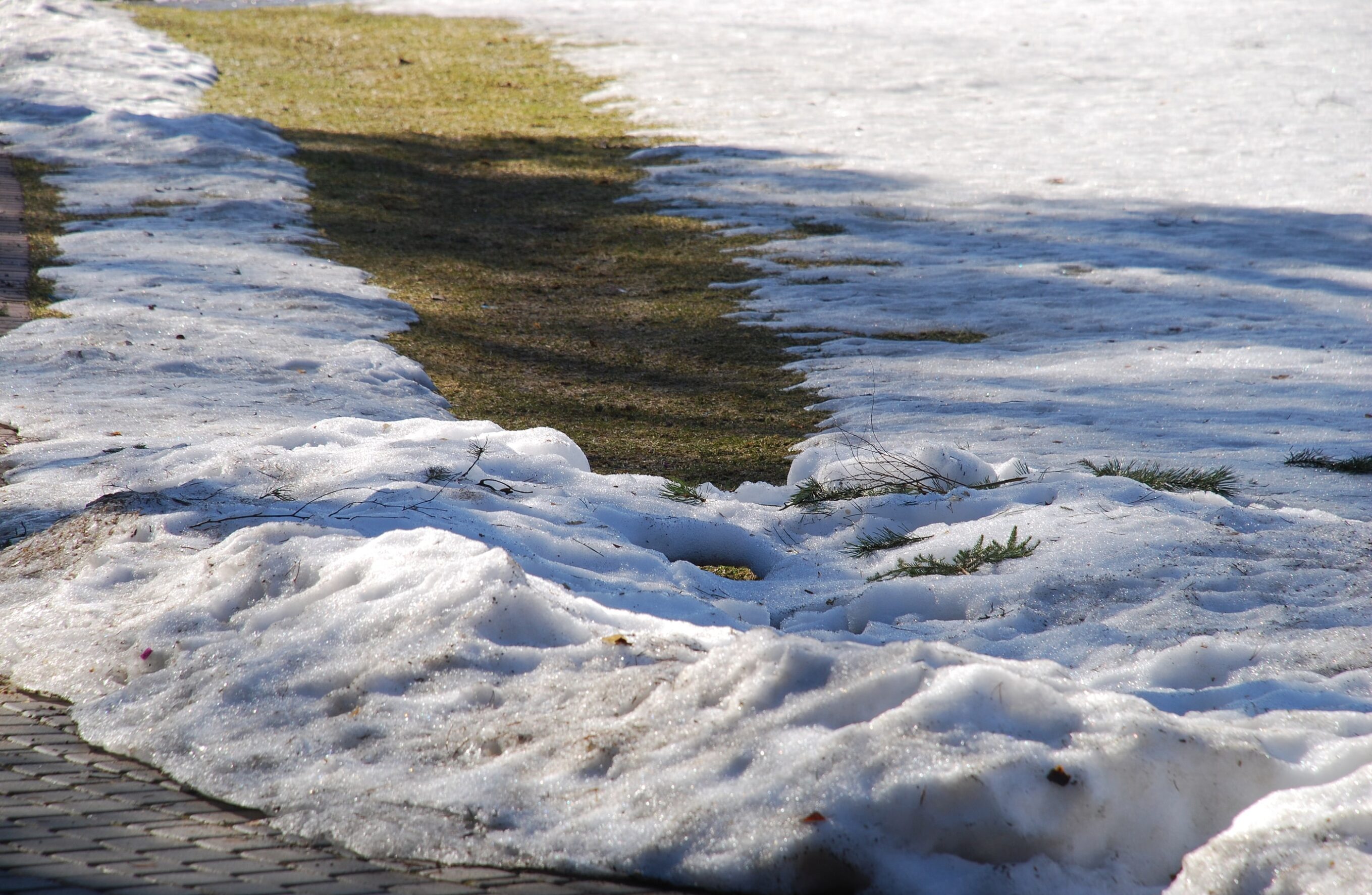 Snow and Ice Removal Services