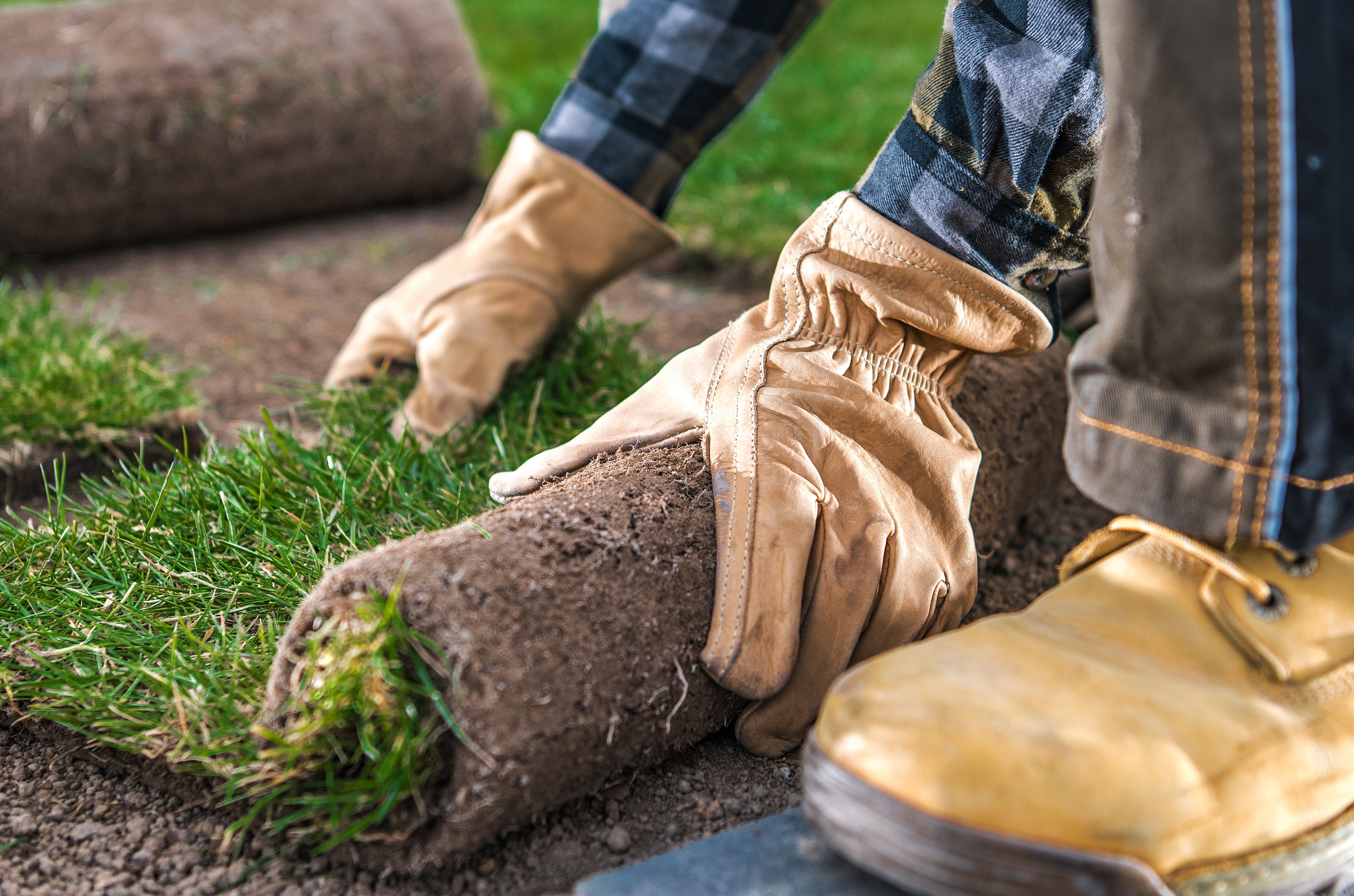 professional commercial landscaping in greenwood indiana