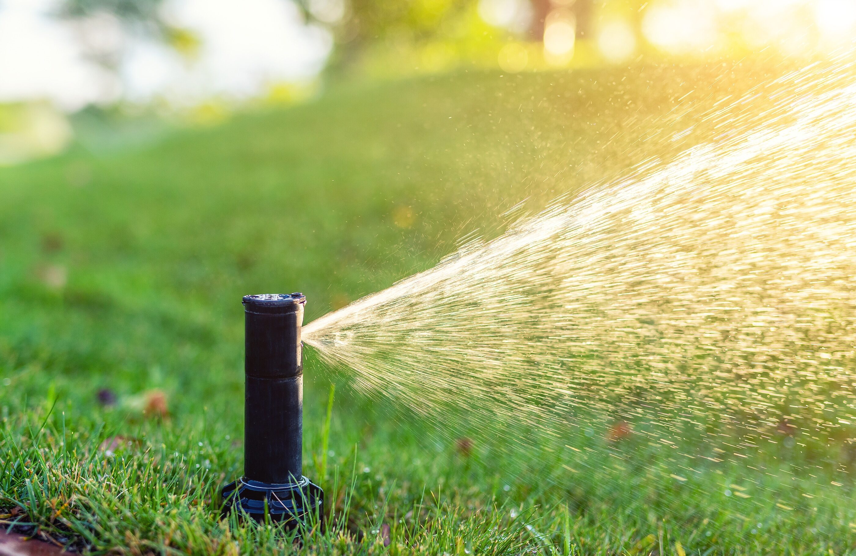 Irrigation Services