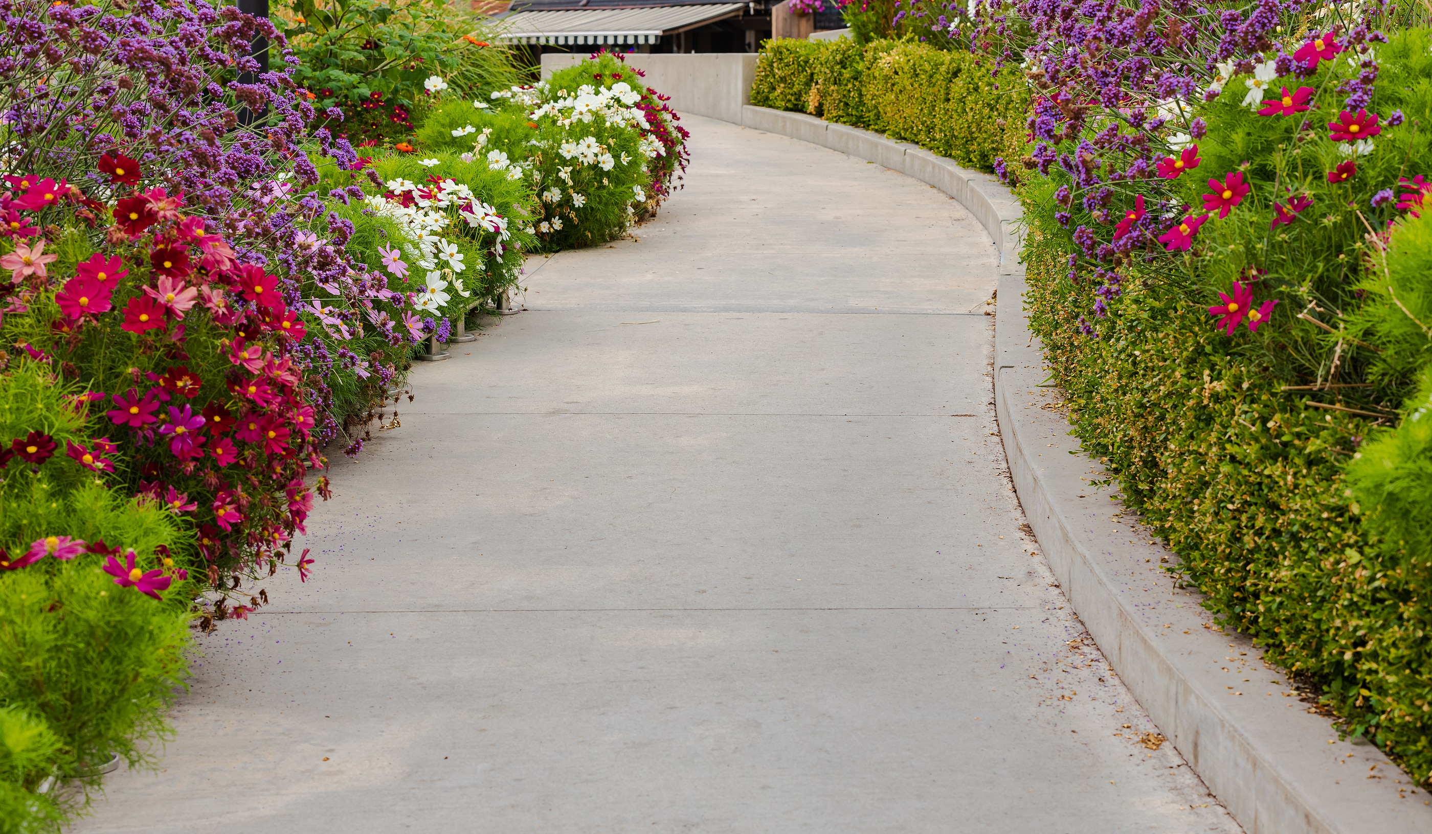 commercial landscape maintenance services